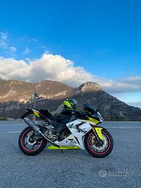 Zx-10R 2004/05