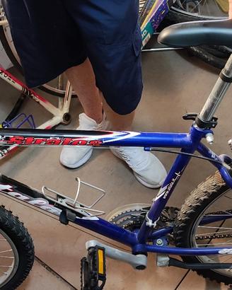 Atala mtb stratos