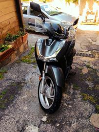 honda sh