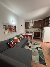 Live in a quiet green area - 5 minutes from iit