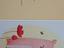 Immagine 2