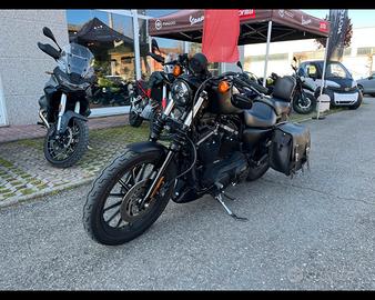 HARLEY DAVIDSON Sport - XL 883N Iron