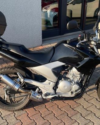 YAMAHA YBR 250 250