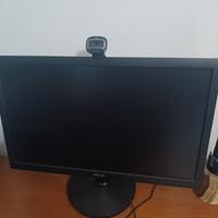 Asus Monitor 