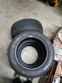 gomme da neve 