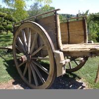 Originale carro agricolo