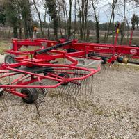 Ranghinatore Lely Hibiscus 855 CD