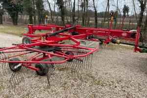 Ranghinatore Lely Hibiscus 855 CD