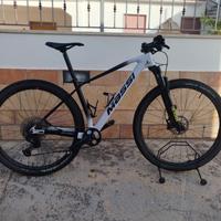 MTB 29 carbonio 