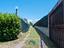 Immagine 22