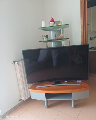 mobile porta tv