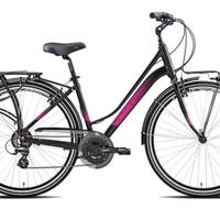 Olympia College Donna