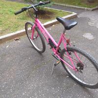 Bicicletta Mountabike 