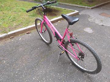 Bicicletta Mountabike 