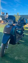 scarabeo rotax 125