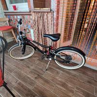 Bicicletta bambina 20”
