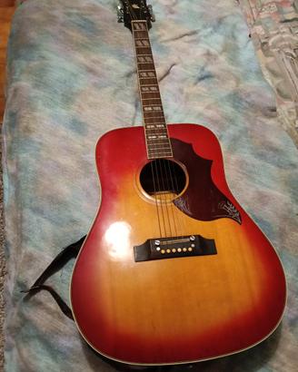Chitarra acustica