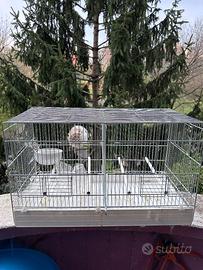 Gabbia per uccelli