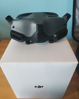 DJI Goggles 2 Motion Combo


