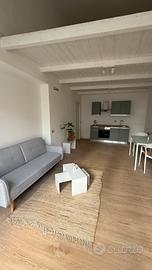 Bivano Loft arredato fine via Sonnino