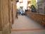 Immagine 6
