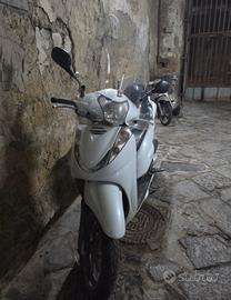 sh 300 targa polacca
