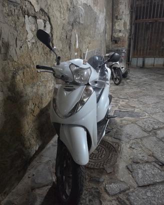 sh 300 targa polacca