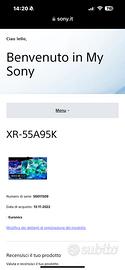 Sony bravia XR-55A95K.