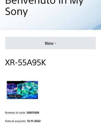 Sony bravia XR-55A95K.