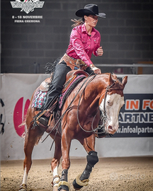 Castrone 8 anni colonel shining gun