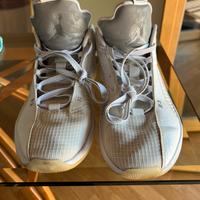 Jordan  XXXV Argento Metallizzato Basso mis 45