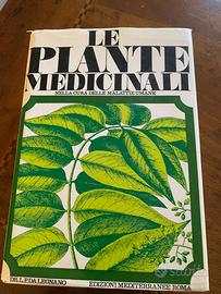 Enciclopedia piante medicinali