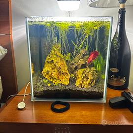 Acquario 20L extra chiaro