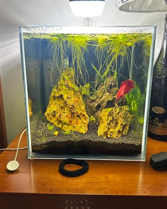Acquario 20L extra chiaro