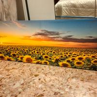 quadro moderno con girasoli