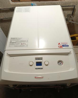 caldaia IMMERGAS VICTORIX ZEUS 25