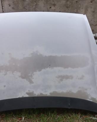 Cofano anteriore Fiat Punto Evo