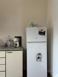 Frigo