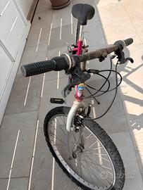 Mountain bike