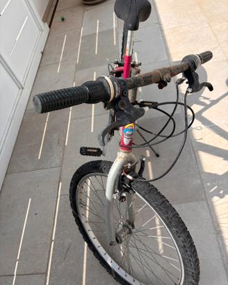 Mountain bike