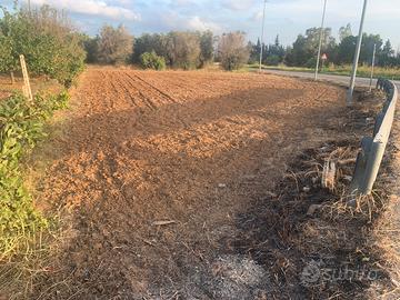 Terreno agricolo per orto