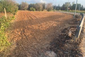 Terreno agricolo per orto