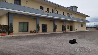 CAPANNONE IMMOBILIARE 