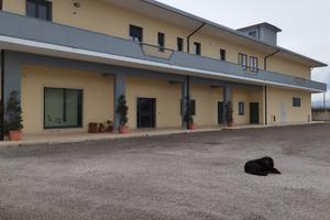 CAPANNONE IMMOBILIARE 