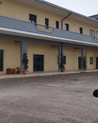 CAPANNONE IMMOBILIARE 