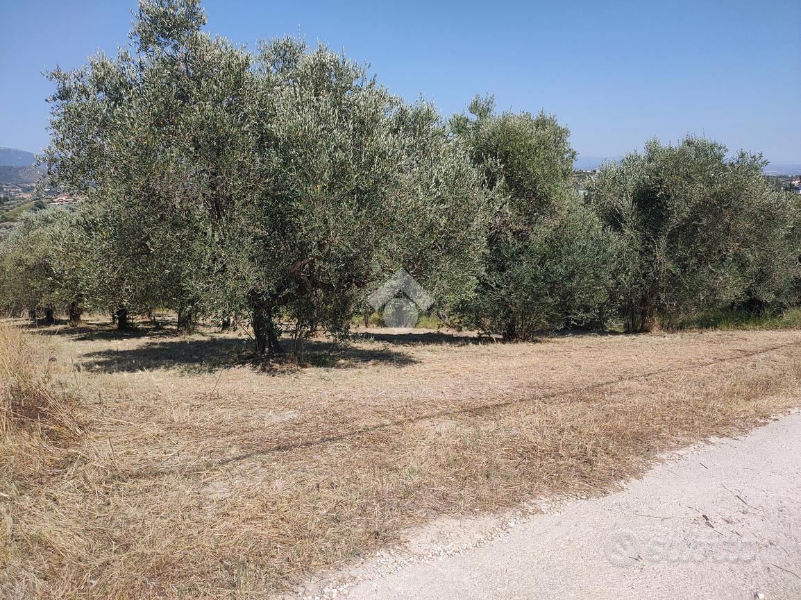 TER. AGRICOLO A MENTANA - Vista 2