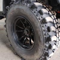 Gomme Ziarelli Extreme Forest 