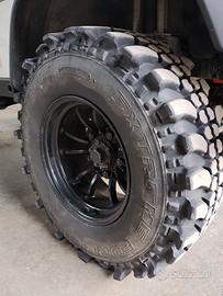 Gomme Ziarelli Extreme Forest 