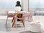 Immagine 15