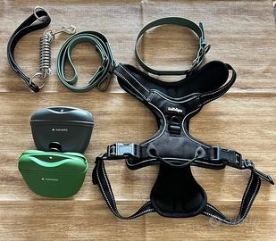 SET ACCESSORI CANE PREMIUM – COME NUOVI 🐶